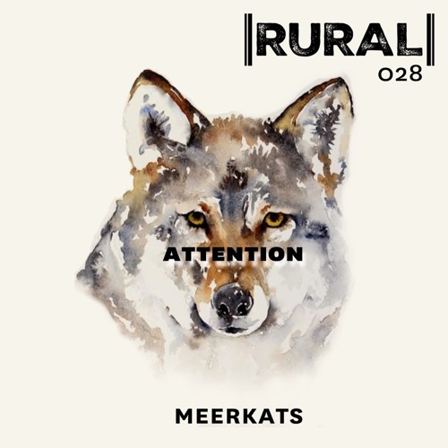 PREMIERE: Meerkats – Attention (Robin Schellenberg Remix) [ Rural Records ]