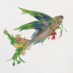 Cain - Falla