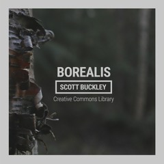 Borealis (CC-BY)