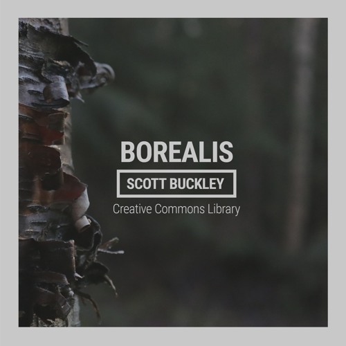 Borealis (CC-BY)
