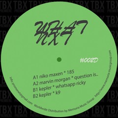 Premiere: Niko Maxen - 185 (Original Mix) [What NXT]