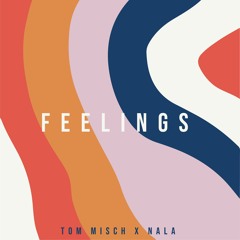 Feelings (Tom Misch flip)