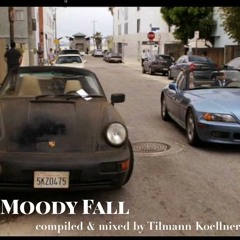 Moody Fall by Tilmann Koellner