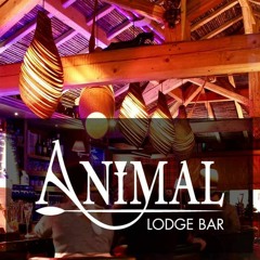━━     ANIMAL LODGE BAR