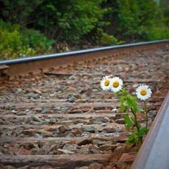 Ethnick House Set Dj usluca / Kusadasi-Turkey