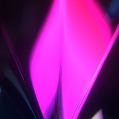 NØCTRIS - TAKAI 高い