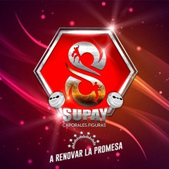 FIGURAS SUPAY PURA PASION VOL # 1  BLOQUE 2020