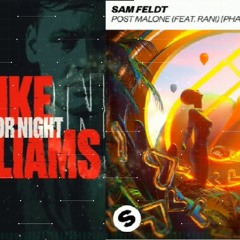 Day or Night vs. Post Malone - Mike Williams, Sam Feldt, Pharien, RANI  [MASHUP]