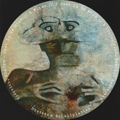 Niereich, Shadym, Dominik Saltevski - Cirice [Cut] Dreizehn Schallplatten