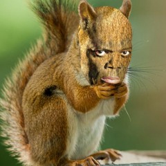 drake got me fucked up