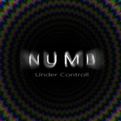 NORMAL IST ANDERS - Under Control (DarkPsy) [170bpm]