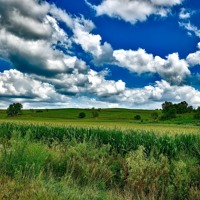 “Fields of Gold”, by Gordon Sumner, Arr. Evan VanDoren