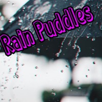 Rain Puddles