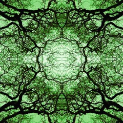 :: dj set :: Echotropia :: Equinox 2019