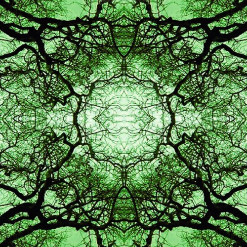 :: dj set :: Echotropia :: Equinox 2019