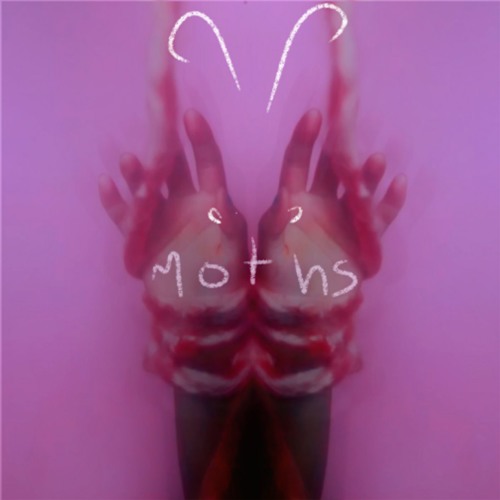 Siv Disa - moths