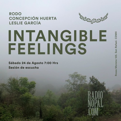 INTANGIBLE FEELINGS