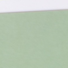 Cong-Ass : Ear Candy