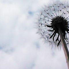 Teardrop - Massive Attack (ZEECOOL acoustic cover ver.)