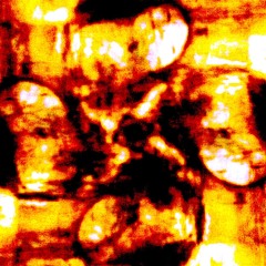 The Alien Abduction Of An Acoustic Blues Artist From The Porch Of His House In The Mississippi Delta