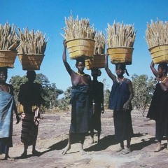 MANDINKA QUICK MIX