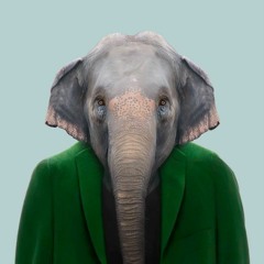 Animals Wearing Clothes - Serious Business