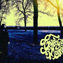 Gypsy Moonbird - Let Me Love You