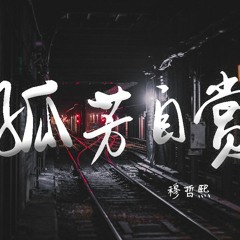 穆哲熙 - 孤芳自赏 (抖音版)(Cover: 群星)【動態歌詞/Lyrics Video】
