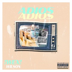 Adios feat. Wilson (Prod. Cojanglez)