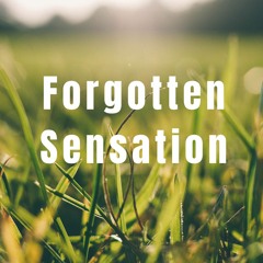 Pulkanator - Forgotten Sensatation