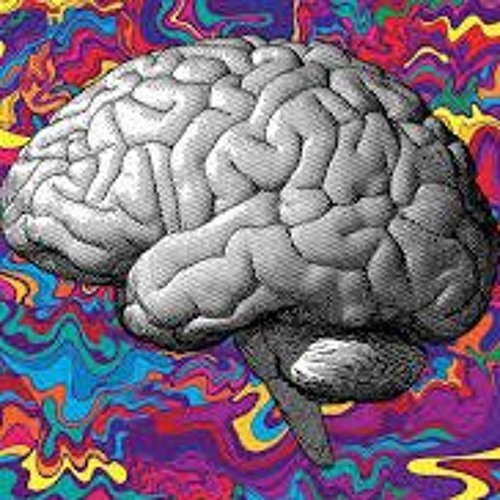 System Error - Androplastic