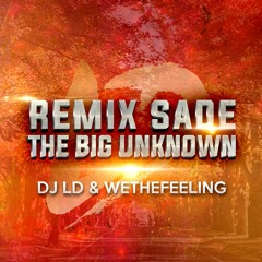 Rmx The Big Unknown