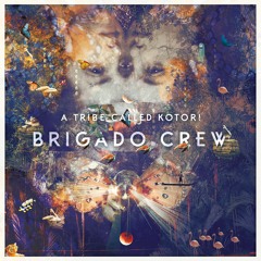 Brigado Crew - Farah [Snippet]