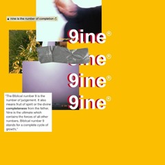 nineishuman - summer's eve