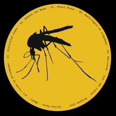 Erlenmeyer - Final Phase (Released on Yellow Fever 07)