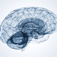 The Journey (without clips - updated)