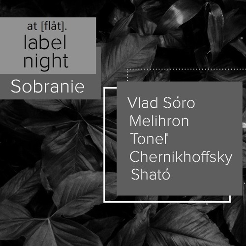 Vlad Sóro - ''Sobranie'' at [flåt]. label night - 10.10.2019
