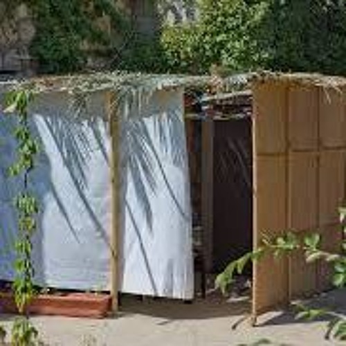 Sukkot: The Whole Purpose of Life