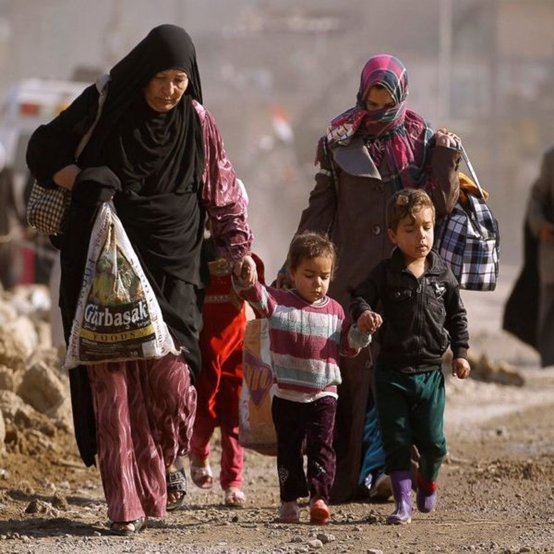 Stream Conflict-Related Sexual Violence in Iraq: Responses and ...