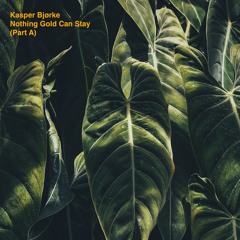 Kasper Bjørke - Nothing Gold Can Stay (feat. Justin Strauss) [CLIP]