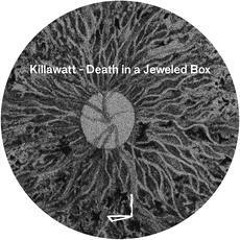 Premiere: Killawatt - Go For Broke [Leyla Records]