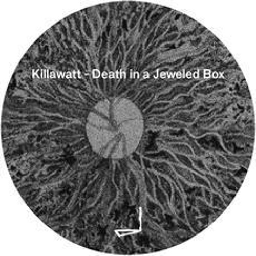 Premiere: Killawatt - Go For Broke [Leyla Records]