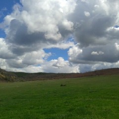 14 The Day Is Your Own