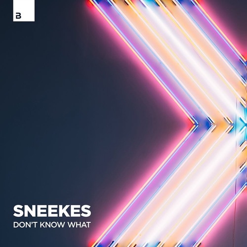 Sneekes - Dont Know What [Big & Dirty Records]