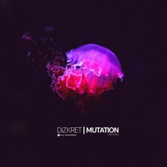Dizkret - Hold On (Original Mix)