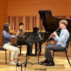 sharp horizons — gentle plains | for clarinet, violin, & piano