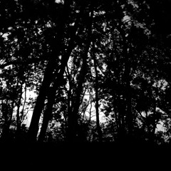 Graydon Margolis​-​Prester Hynn​-​Elso's Kattic Mod version