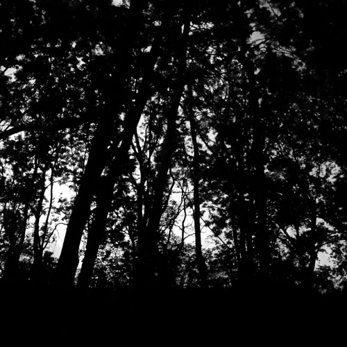 Graydon Margolis​-​Prester Hynn​-​Elso's Kattic Mod version