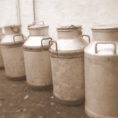 No milk today (cover)