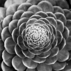 Sambhawana=delta(maan) - tShunya (शून्य)